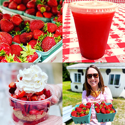 Enjoy some sweet fun this Strawberry Season at Weber's!